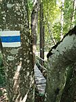IMG_20250810_122909