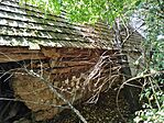 IMG_20250807_160356