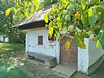 IMG_20250807_160728