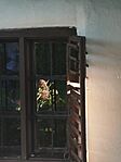 IMG_20250807_190603
