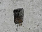 DSCN5445