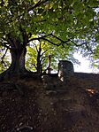IMG_20250815_174551