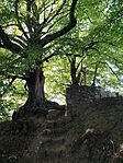 IMG_20250815_174728