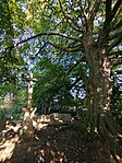 IMG_20250815_174756