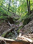IMG_20250815_094210