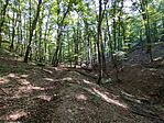 IMG_20250815_093959