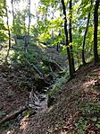 IMG_20250815_093856