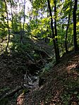 IMG_20250815_093851