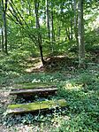 IMG_20250815_093611
