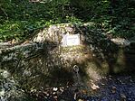 IMG_20250815_093604