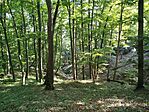 IMG_20250815_093421