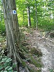 IMG_20250815_092600