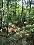 IMG_20250815_092329