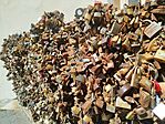 IMG_20250814_143354