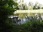 DSCN5465
