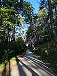 IMG_20250825_083356