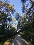 IMG_20250825_083405
