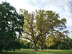 IMG_20250830_165251