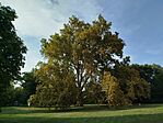 IMG_20250830_164537