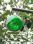 IMG_20250831_161731
