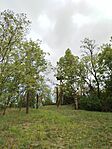 IMG_20250831_161954