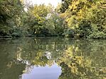 Kis-Tisza