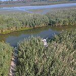 IMG-770c2ecca8f22917e029f053af744d10-V