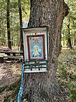 IMG_1486