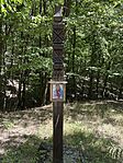 IMG_1506