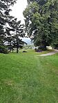 GCfroz_20250804_152145