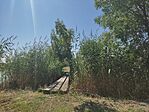 IMG_20250808_105256_1