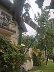 IMG_20250817_121926