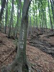 IMG_20250823_173712