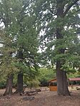 IMG_20250831_101115