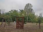 IMG_20250831_100804