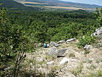 DSC00502