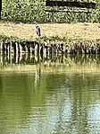 IMG_4828