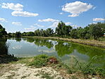 DSC00570