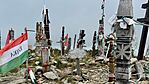 IMG_1365