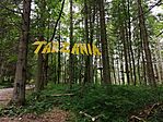 IMG_20250715_093909