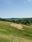 IMG_20250608_132726