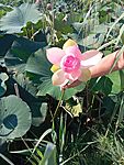 IMG_20250810_093831