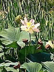 IMG_20250810_102230