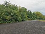 IMG_20250803_152612