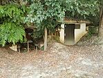 IMG_20250802_171001