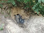 IMG_20250802_171027