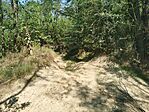 IMG_20250802_111304