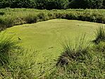 IMG_20250801_125145