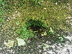 IMG_20250801_125513