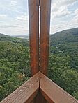 IMG_20250729_113006